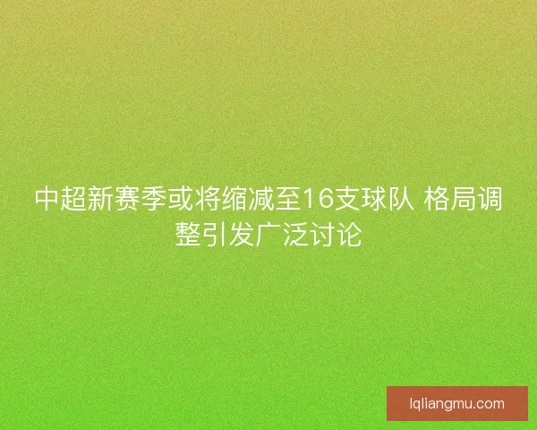 中超新赛季或将缩减至16支球队 格局调整引发广泛讨论
